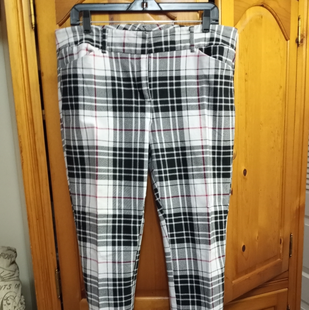 New York & Company pants